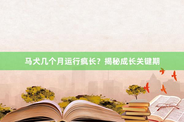 马犬几个月运行疯长？揭秘成长关键期