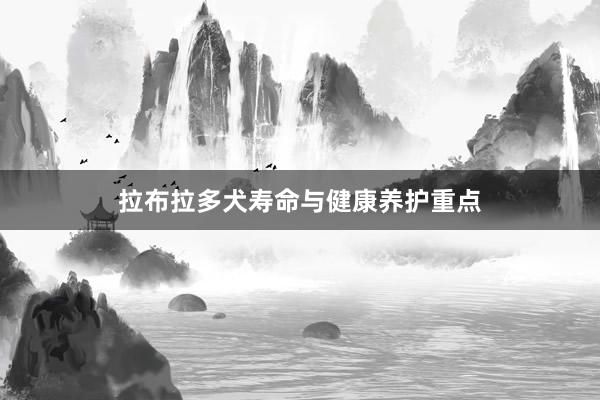拉布拉多犬寿命与健康养护重点