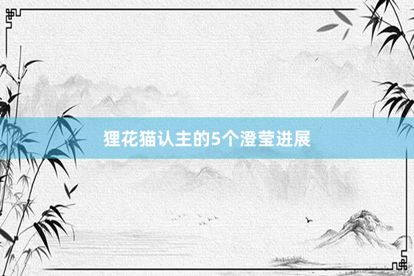 狸花猫认主的5个澄莹进展